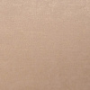 CEL22 004